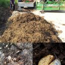 기영농장 이미지