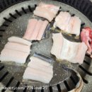 바다산장어 이미지