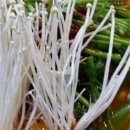 예찬한의원 이미지