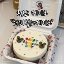[천안 케이크] 크림치즈가 잔뜩 올라간 도시락 케이크 &#39;해피벌스케이크&#39;