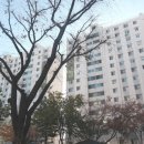 우성건설㈜ 네이버블로그