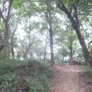 광산구-154 이미지