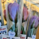 세심태권도 이미지