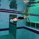 부산적십자회관 | 대한적십자 수상안전강사 교육 후기 (부산광역시지사)