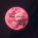 스트로베리문 네이버블로그