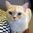 성북동1 이미지