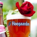 스프링가든 이미지