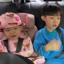 쌍둥이네 서점가는길🚗🚙(별초롱1반) 이미지