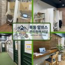 큰꿈독서실 | 공부량 채워주는 목동 신정동 스터디카페 알프스 관리형 독서실 반수생 후기