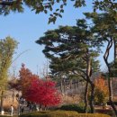찬스포유