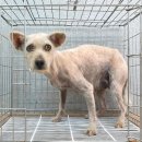 서이천로 이미지