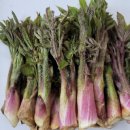 택배농장 이미지