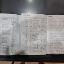 스타덤핏 이미지