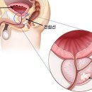 남자 전립선에 좋은 식품은? 이미지