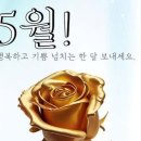 👉5/02 류효상의 신문을 통해 알게 된 이야기들🐯 이미지