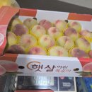 경북 의성 반디농원 백도 잔여수량 판매 이미지