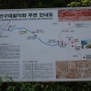 두동천 | 스토리 워킹 태화강-원시문화 산책로를 따라(2010.7.7)