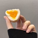 체지방률 40%... 이미지