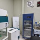 신지면-4 이미지