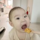아기사진 포토덤프 + 유튜버 레오제이 찐친즈 주호다, 서기채널, 현석공주 지오왕자 테드 실물 후기