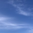 슈니분식