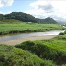 화천 황쏘가리 서식지 이미지