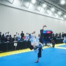 국가대표태풍태권도장 이미지