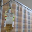 더힐가정의학과의원 | 대전 서울여성병원 시험관 신선 1차 동결까지 후기