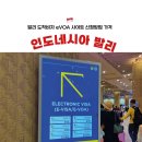 auto master | 인도네시아 발리 도착비자 신청 방법 | 가격 사이트 e-VOA 현장 발급 비추