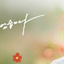 재개발재건축개발원 이미지