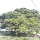 푸른바다펜션 이미지