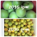 김호농장 이미지