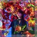 하나노쿠니 - 관악구 관천로19길 76 | 백화요란(百花繚乱) - 이쿠타 리라