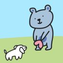 도기온 (doggyon) 이미지
