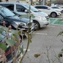 성사1동행정복지센터 이미지