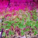 옥천농장 이미지