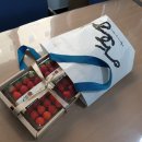 롯데리사이클 이미지