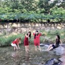 원님골 | 서울 근교 계곡 장흥원님골에서 백숙, 감자전 먹은 후기! 준비물, 분위기 알아보자!