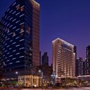 소노캄 고양 이미지