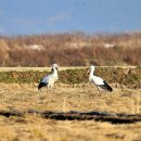 김신환동물병원 이미지