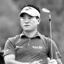 버디텔레콤 이미지