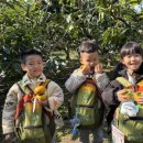 김해유치원 이미지