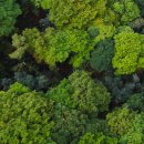 공공용 48 이미지