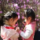 연꽃유치원 이미지