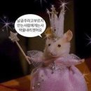신사곡2길 9 앞 | 공주 1박 2일 코스 ㅣ피탕김탕, 산성시장 주차, 청양분식 솔직 후기