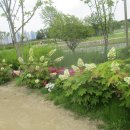 오천그린광장 이미지