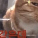 우리방 이미지