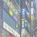 마법에 걸린 개구리왕자 | 부산광안리횟집 추천, 현지인 단골이 많은 가성비 갑 '대교집' 솔직후기 (주차 팁)