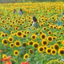황룡강변 이미지
