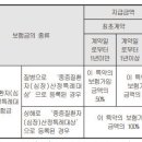 중증질환자(심장)산정특례대상(연간1회한) (간편가입Ⅴ)(갱신형)보장 특별약관 이미지